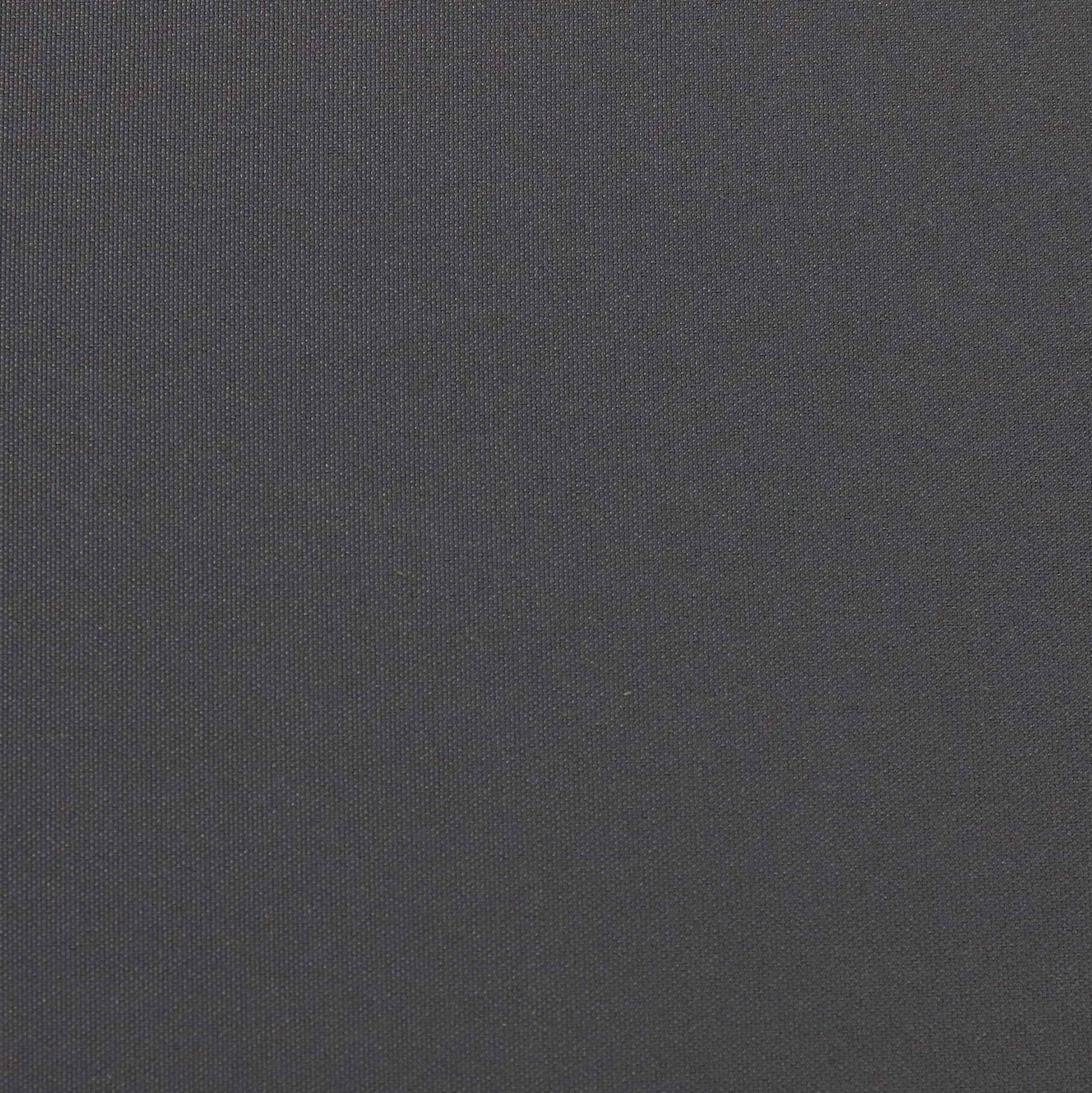 Niyanna Outdoor Acacia Wood Chaise Lounge with Cushion (Set of 2)