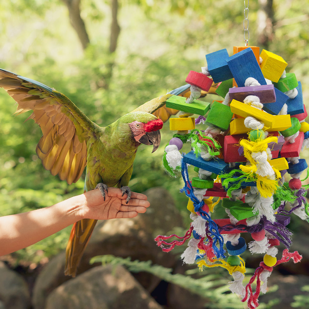 ALPACASSO 1Pcs Parrot Toys Bird Parrot Hanging Bite Wooden Blocks Cage Fun Toy for Chewing Climbing Biting Wooden Knots Blocks Chewing Toys，Suitable for Medium to Large Birds