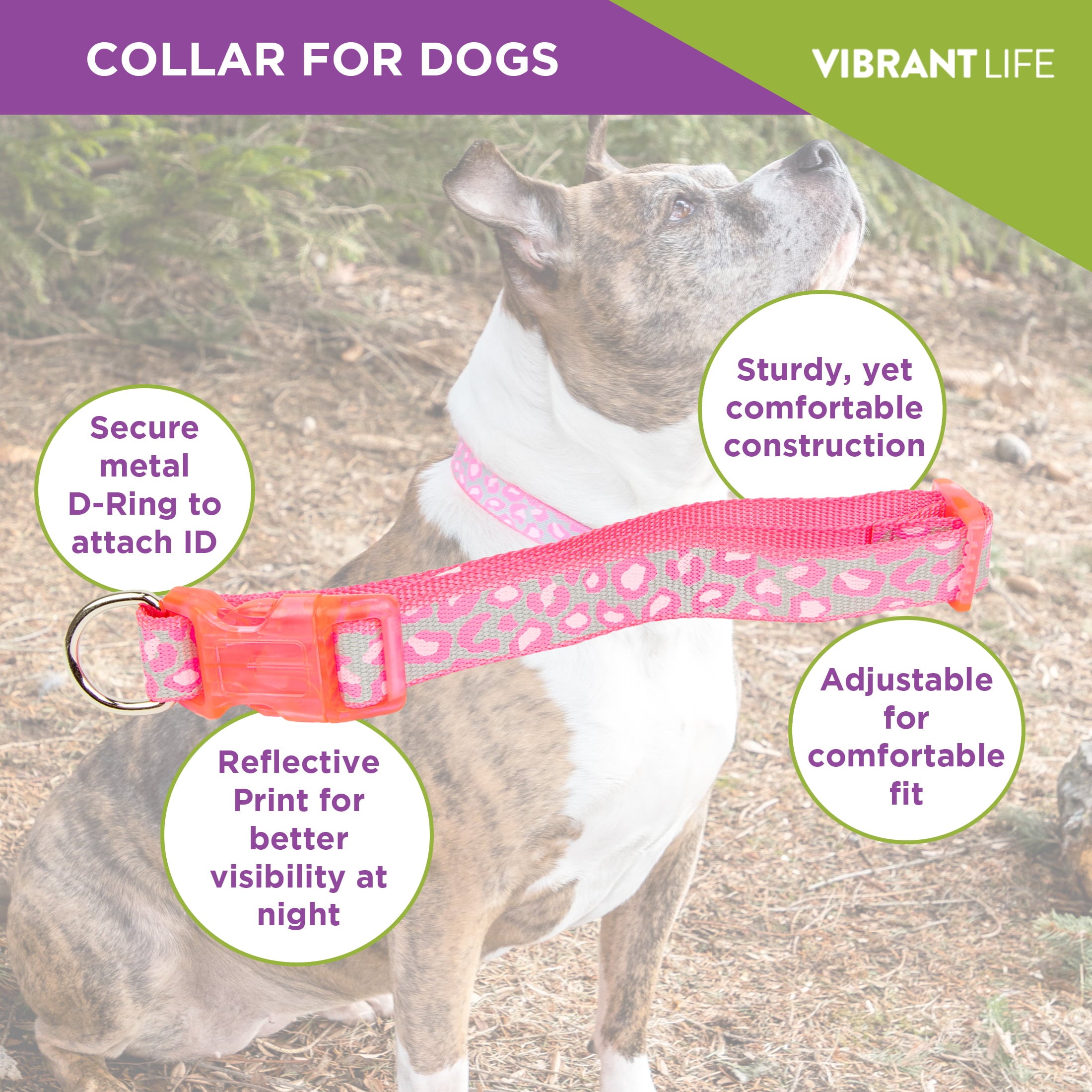 Vibrant Life Cheetah Print Reflective Dog Collar， Pink， L
