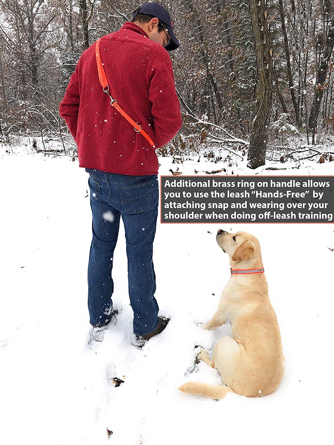 Regal Dog Products Waterproof Dog Collar and Leash Set - Vinyl Coated Heavy Duty Water Proof Biothane Training Collar with D Ring and 5'ft Leash