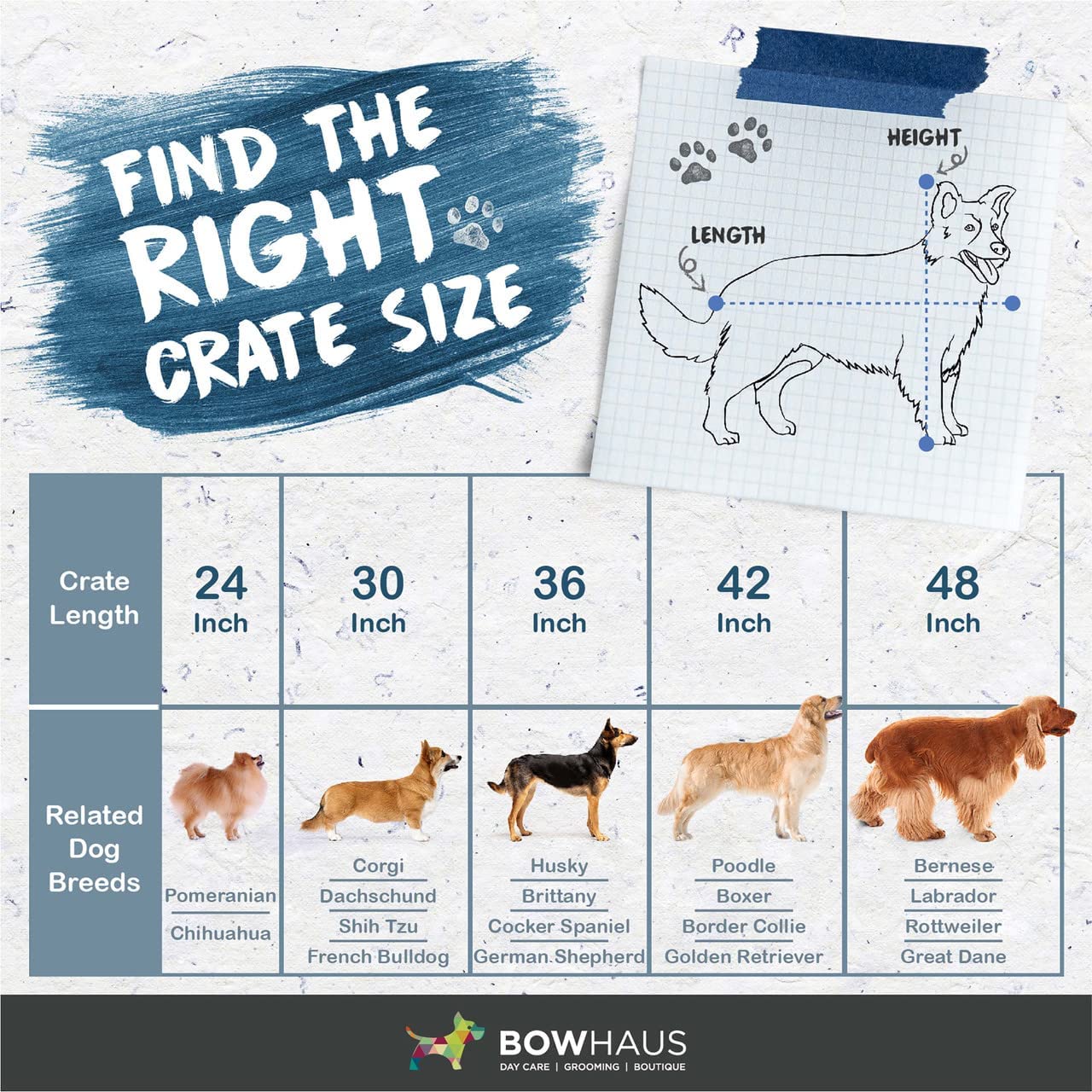 BOWHAUS Foldable Dog Crate Wire Metal Dog Kennel w/ Divider Panel， Leak-Proof Pan and Protecting Feet， Single and Double Door， Small， Medium and Large Dog Crate Indoor Wire Dog Cage， 48” w/ Double Doors