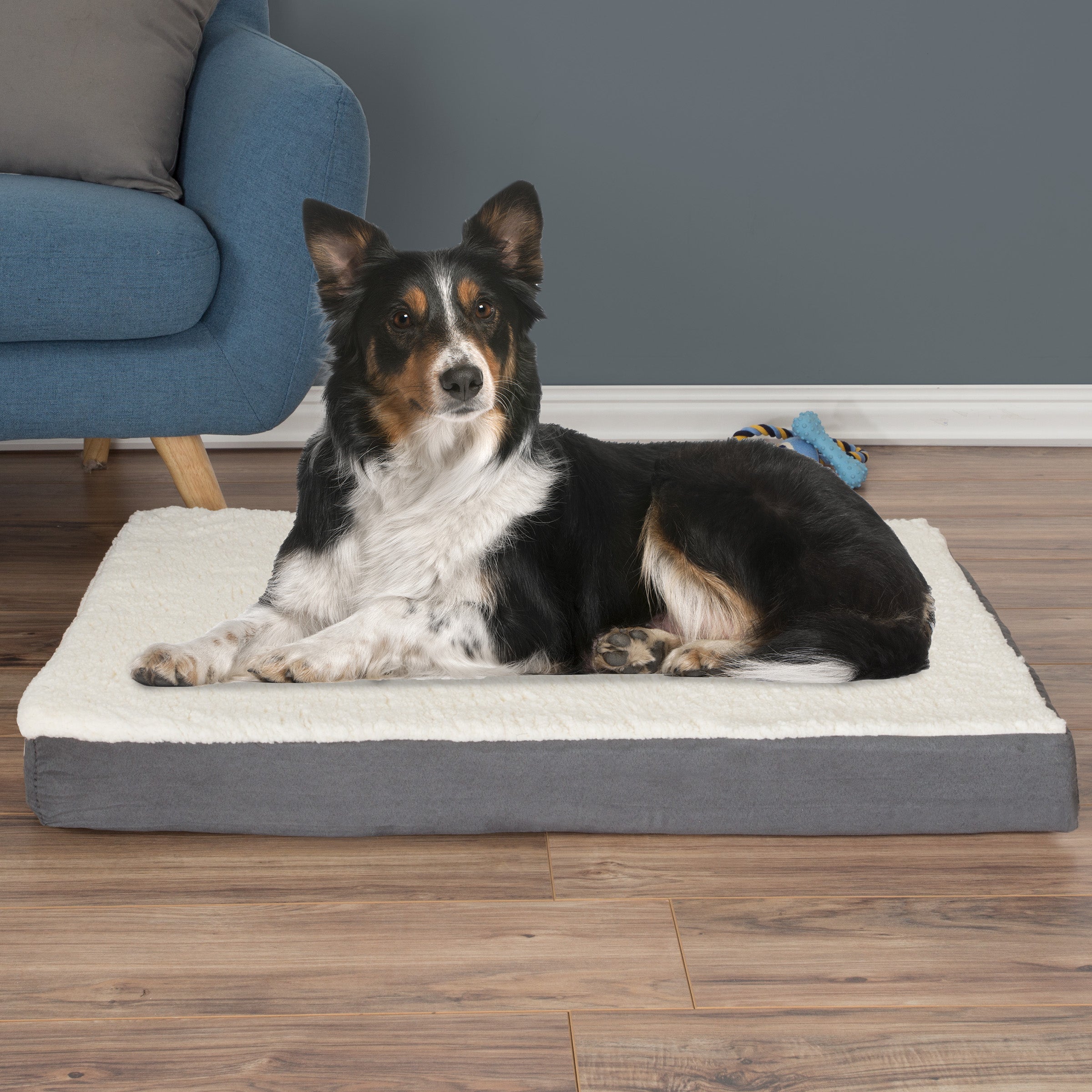 Orthopedic Dog Bed - 2-Layer 36x27-Inch Memory Foam Pet Mattress with Machine-Washable Sherpa Cover for Large Dogs up to 65lbs by PETMAKER (Gray)