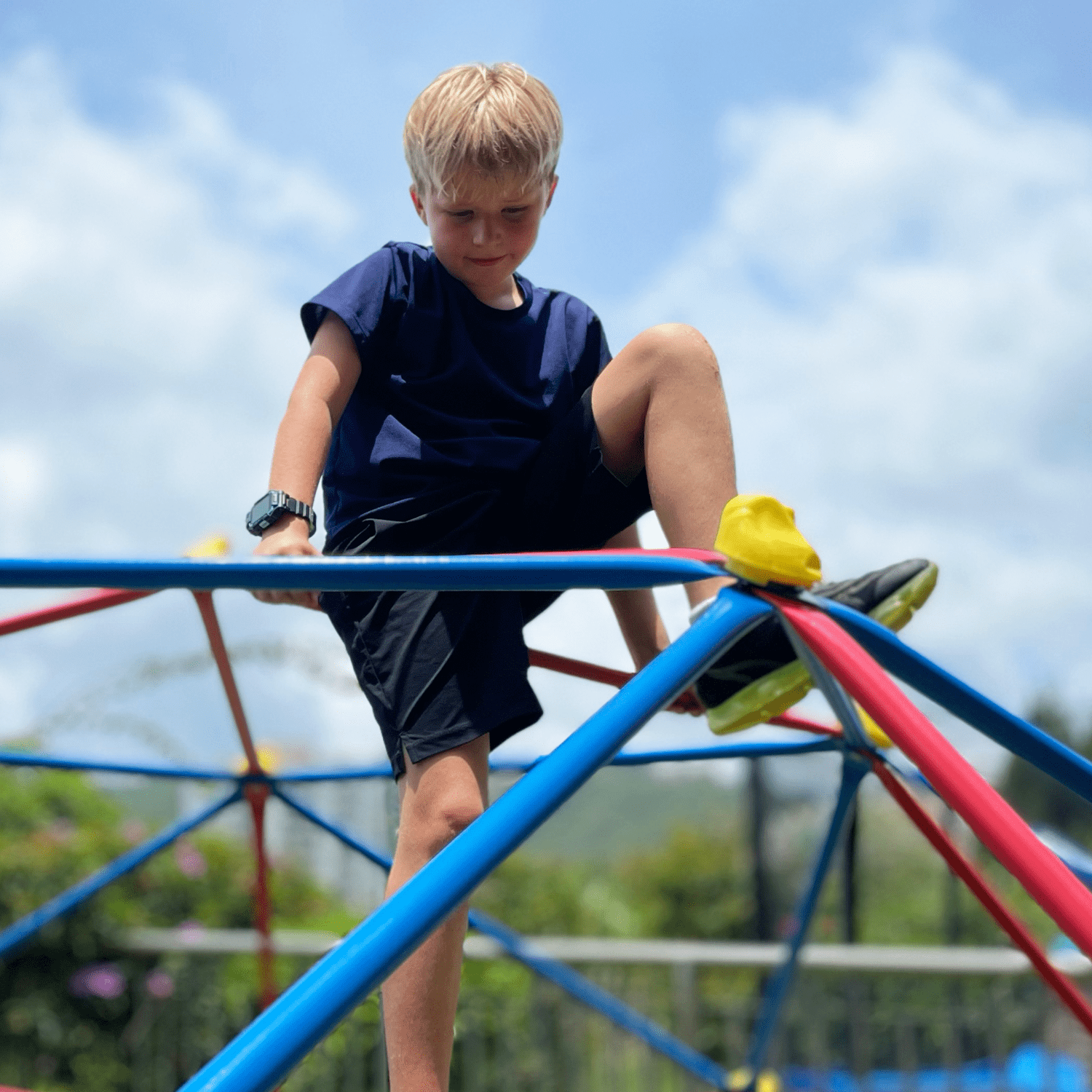The Bubble Factory 10 ft Steel Climbing Dome For Kids - 10' x 5'
