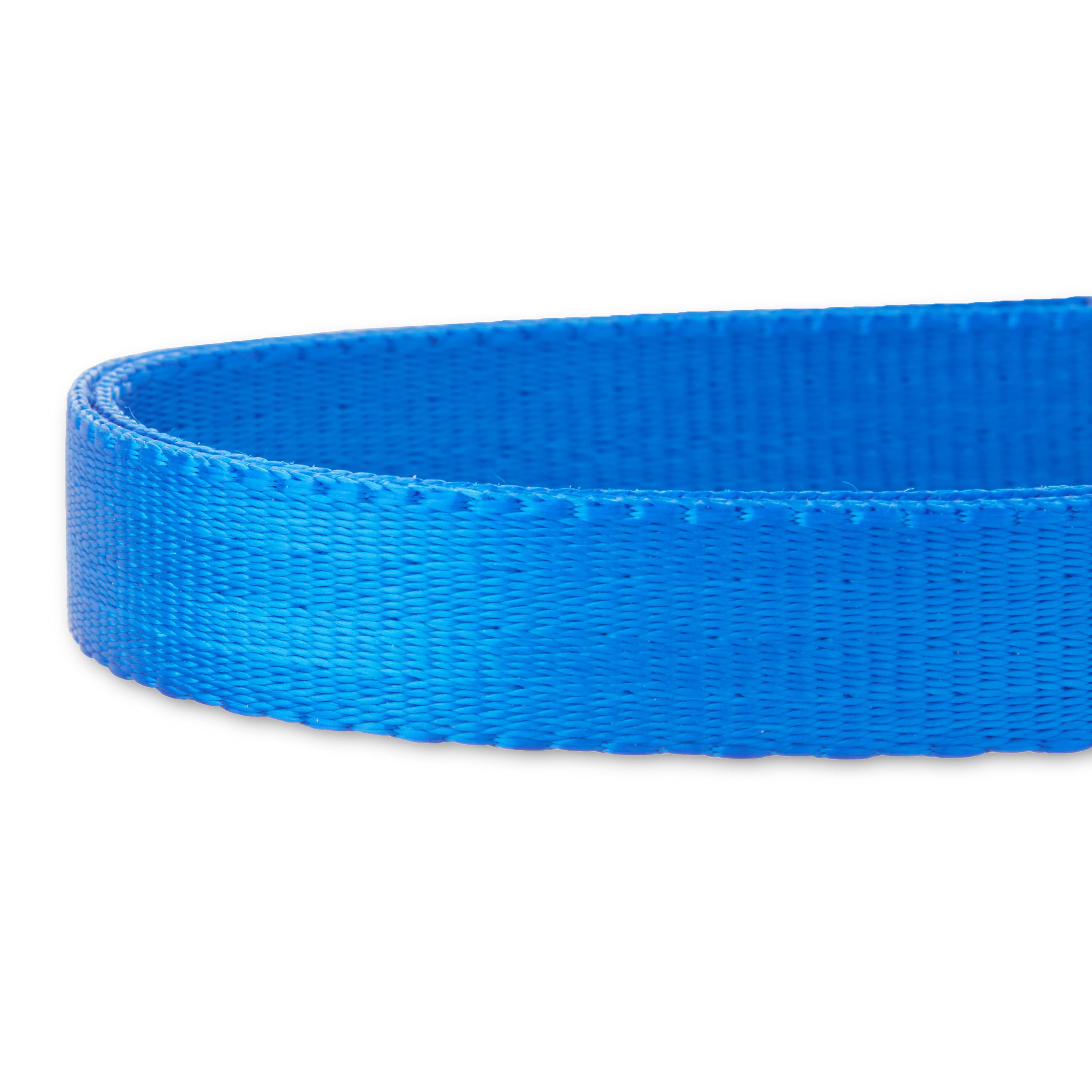 Vibrant Life Solid Nylon Dog Collar with Metal Buckle， Blue， Medium