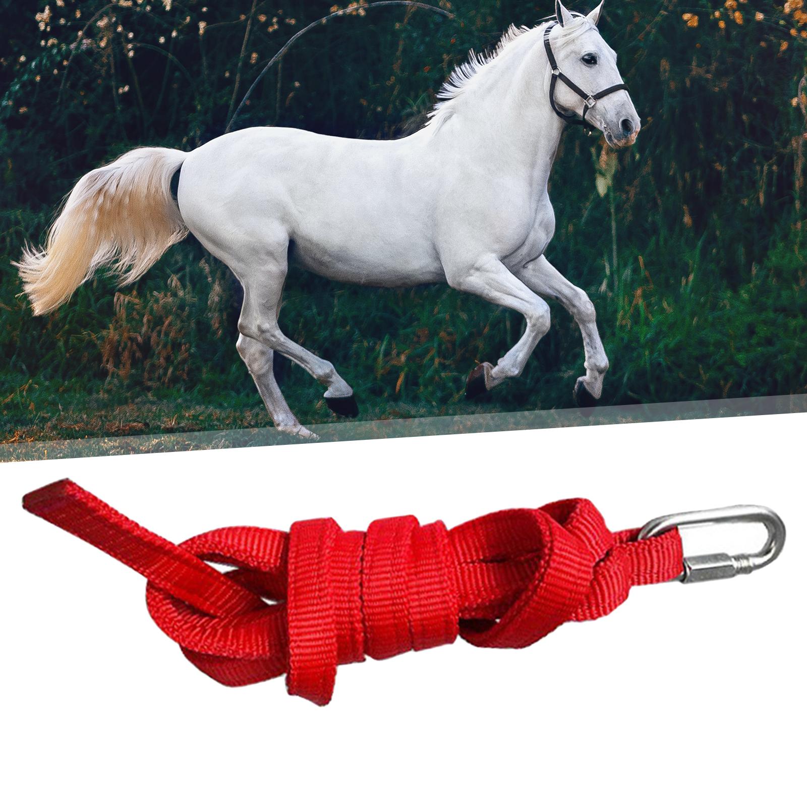 Durable Horse Leading Rope Equestrian Rein Racing Halters Webbing Accessory red