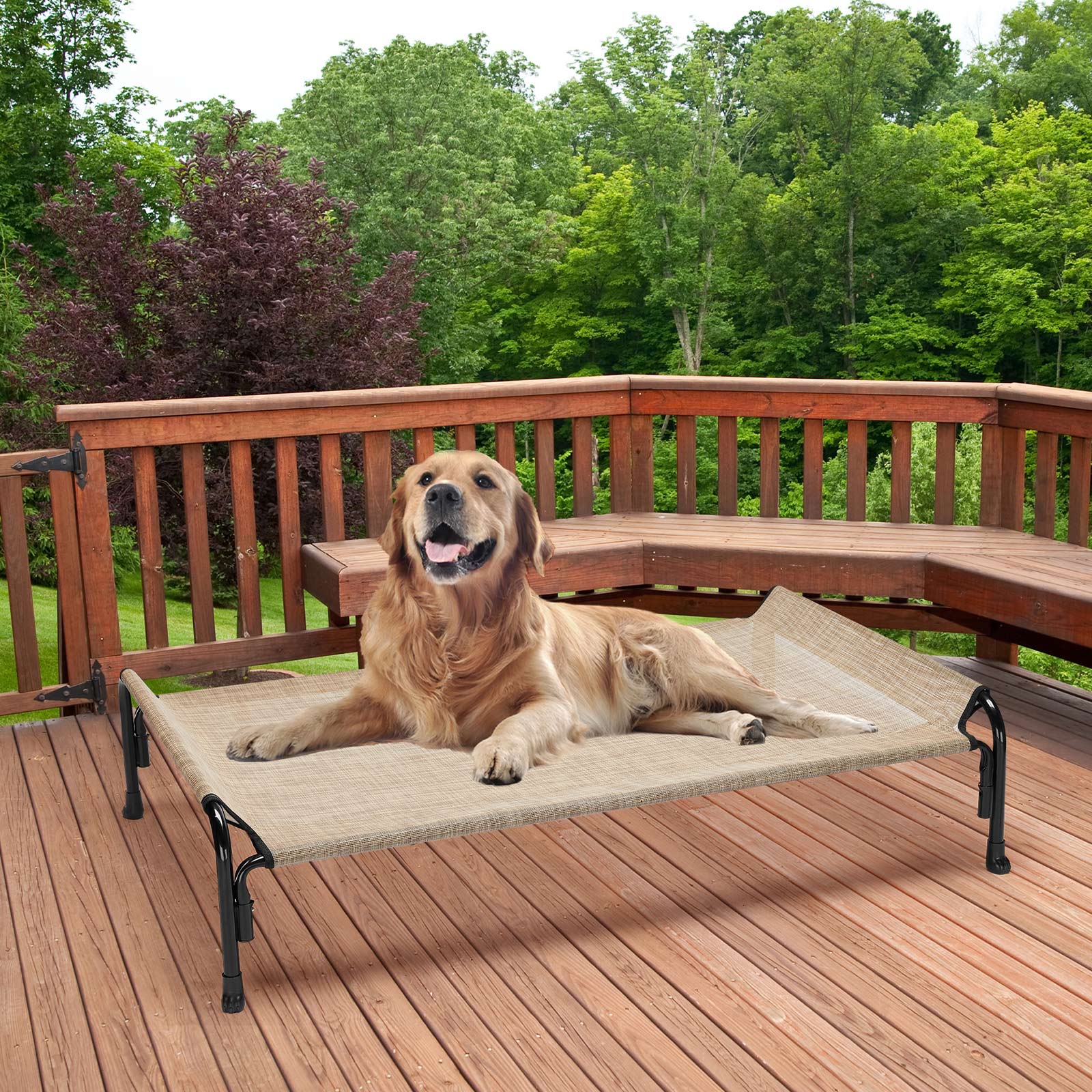 Veehoo Cooling Elevated Dog Bed， Chew Proof Dog Cot with Washable Mesh， Large， Beige Coffee