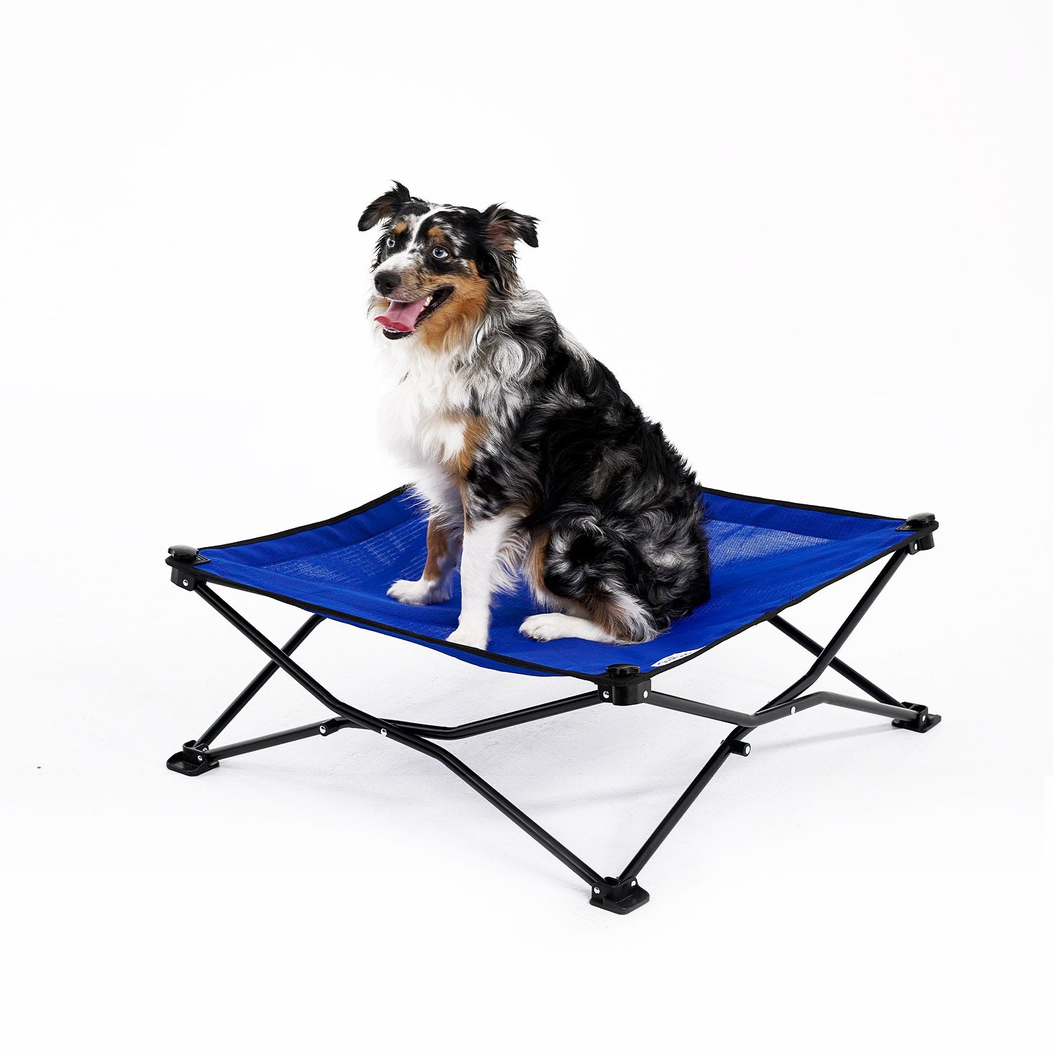 Coolaroo On the Go Elevated Travel Dog Bed， Medium， Aquatic Blue