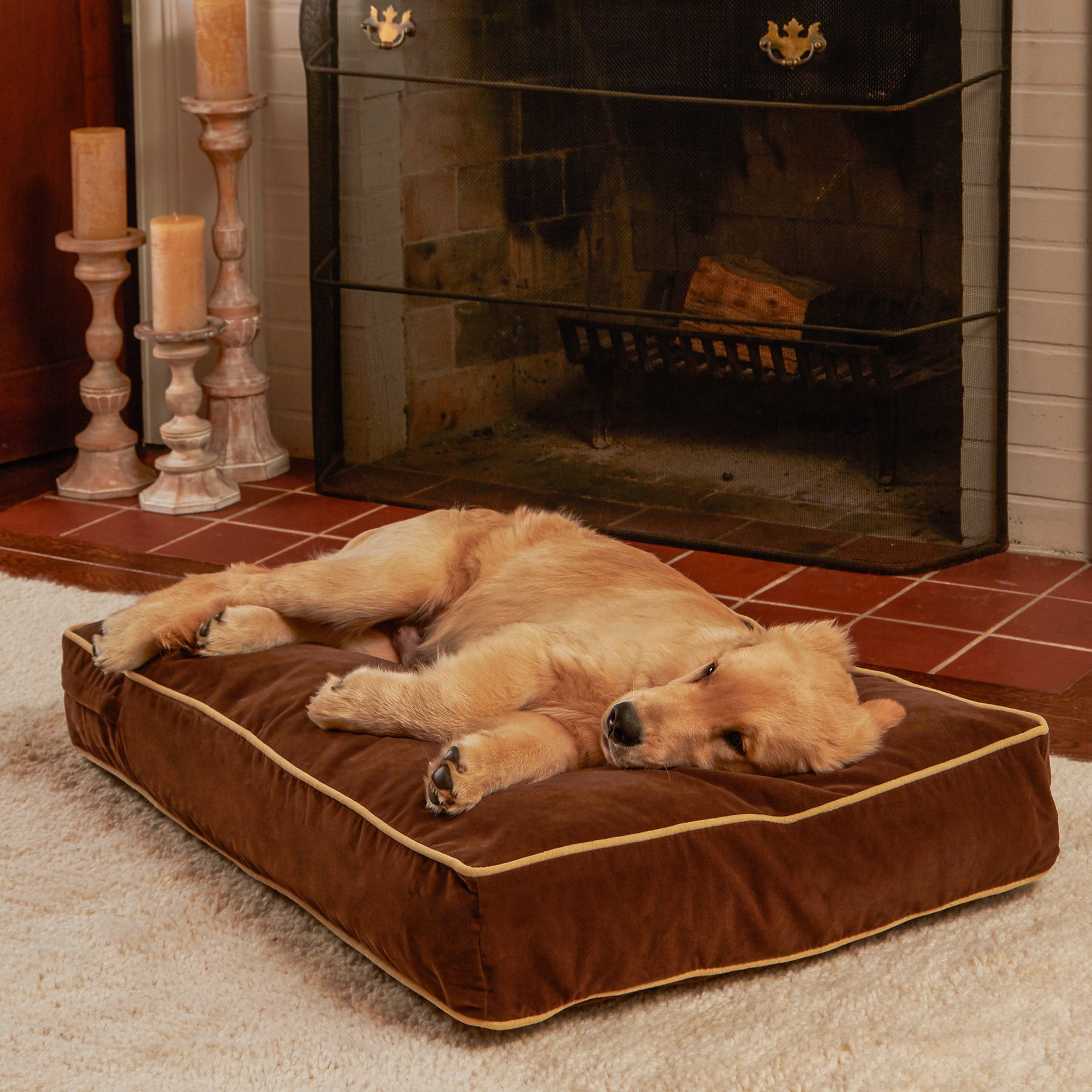 Happy Hounds Buster Rectangle Pillow Style Dog Bed， Cocoa， Small (36 x 24 in.)