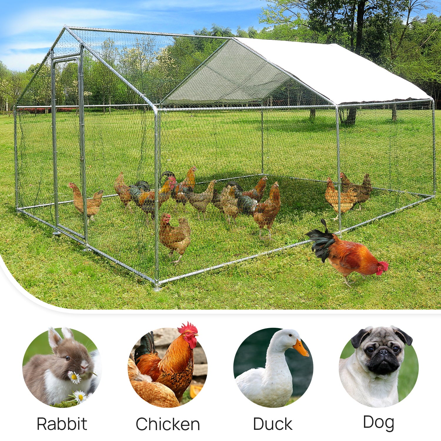 10x10ft Walk in Large Metal Chicken Coop Run Backyard Hen House Poultry Rabbit Cage