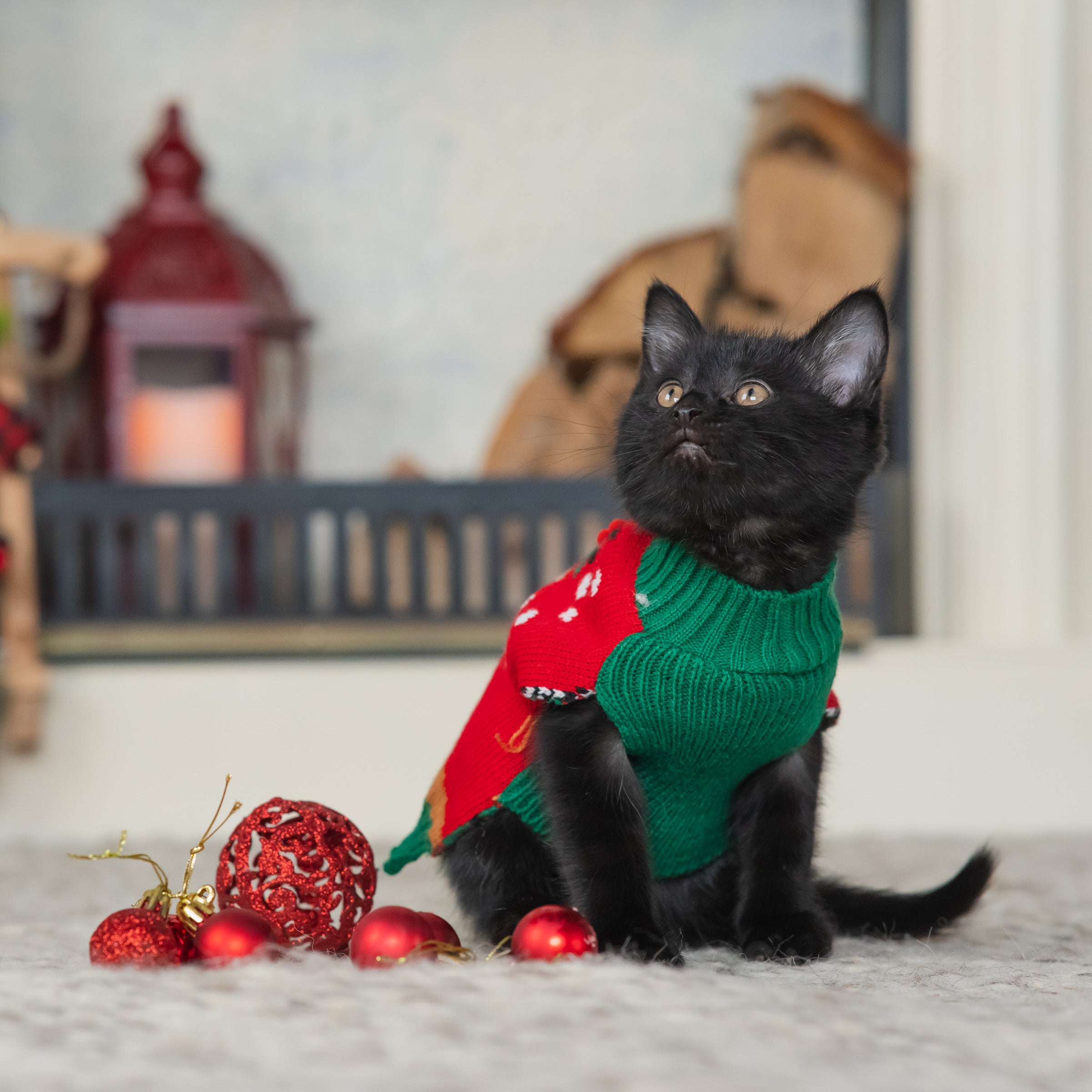 Vibrant Life， Holiday Dog Clothes， Reindeer Dog or Cat Sweater， Red XXS