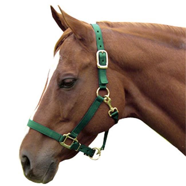 Intrepid International 1ZAS58GN Nylon Horse Halterand#44; Cob - Green