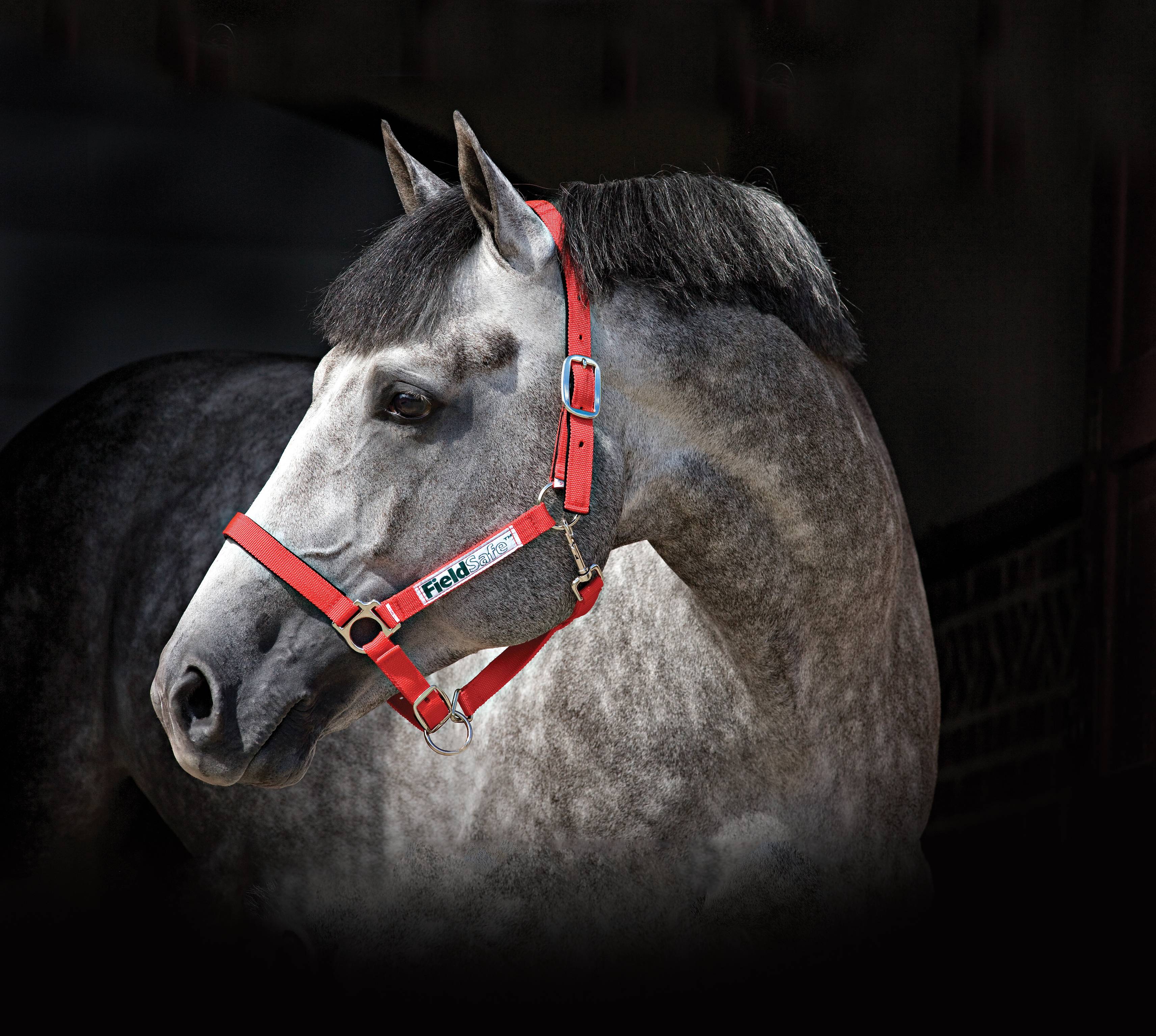 Horseware Field Safe Halter