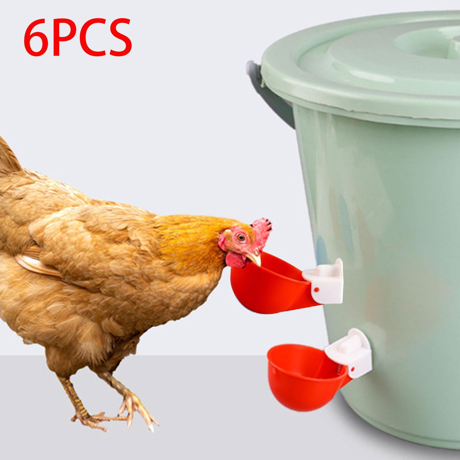 6x Chicken Water Cups Feeder Tools Chicken Feeder Cup for Quail Chick Coop Goose Red