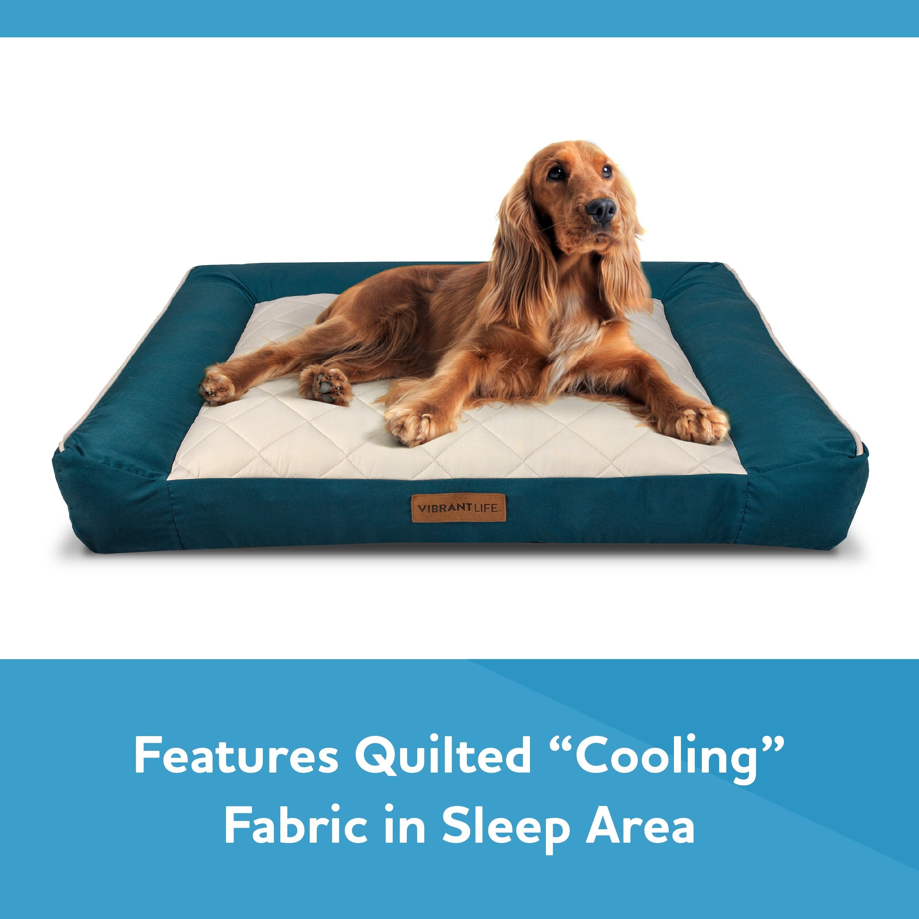 Vibrant Life Large Deluxe Cooling Couch Dog Bed， Teal