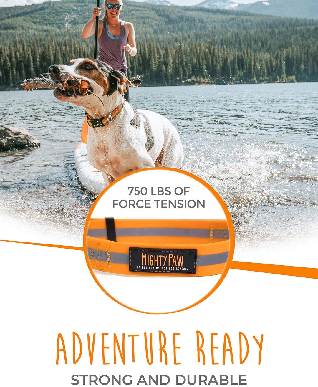 Mighty Paw Waterproof Dog Collar， Smell-Proof Active Dog Gear， Coated Nylon Webbing with Reflective Stripe