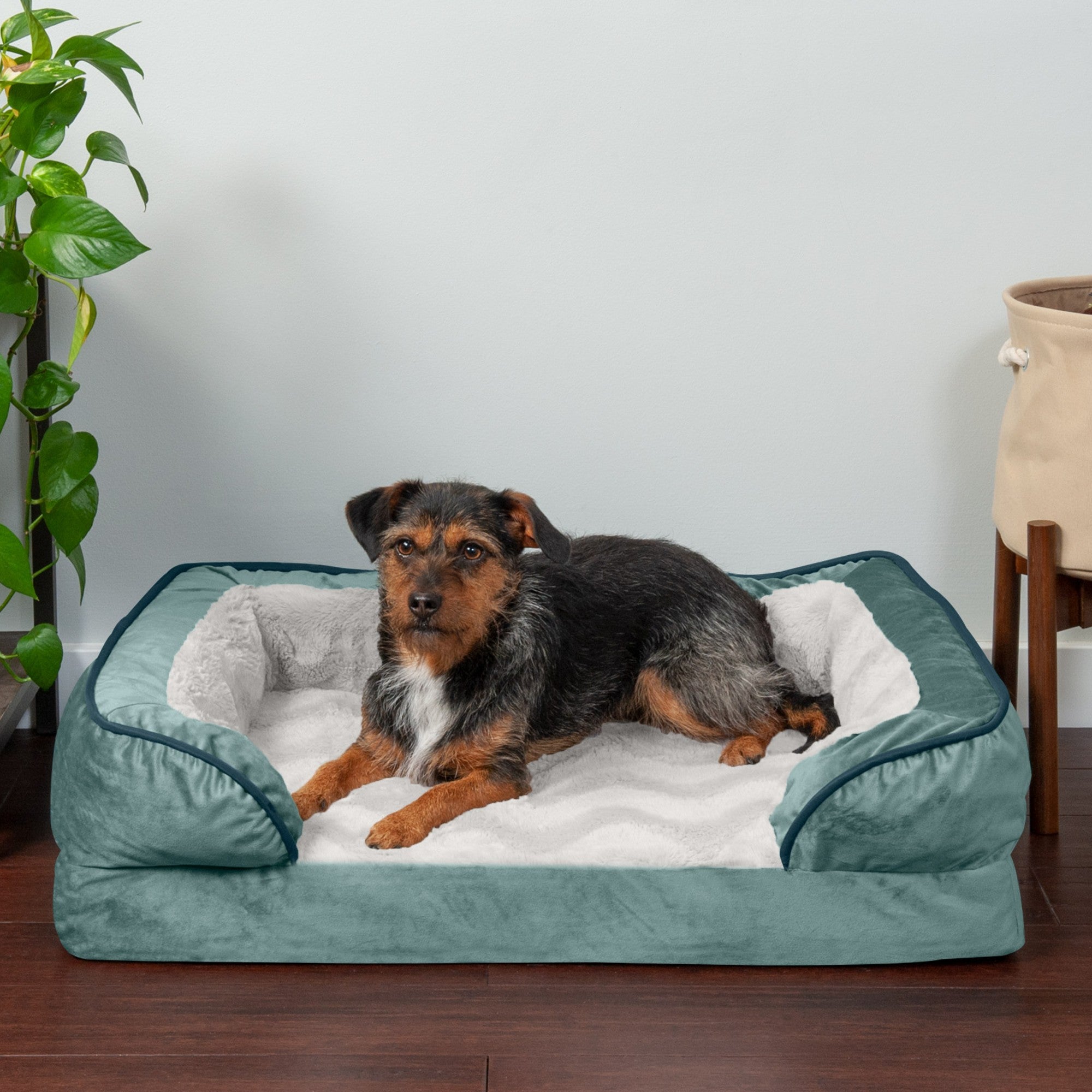 FurHaven Pet Products | Memory Foam Perfect Comfort Velvet Waves Sofa-Style Couch Pet Bed for Dogs and Cats， Celadon Green， Medium