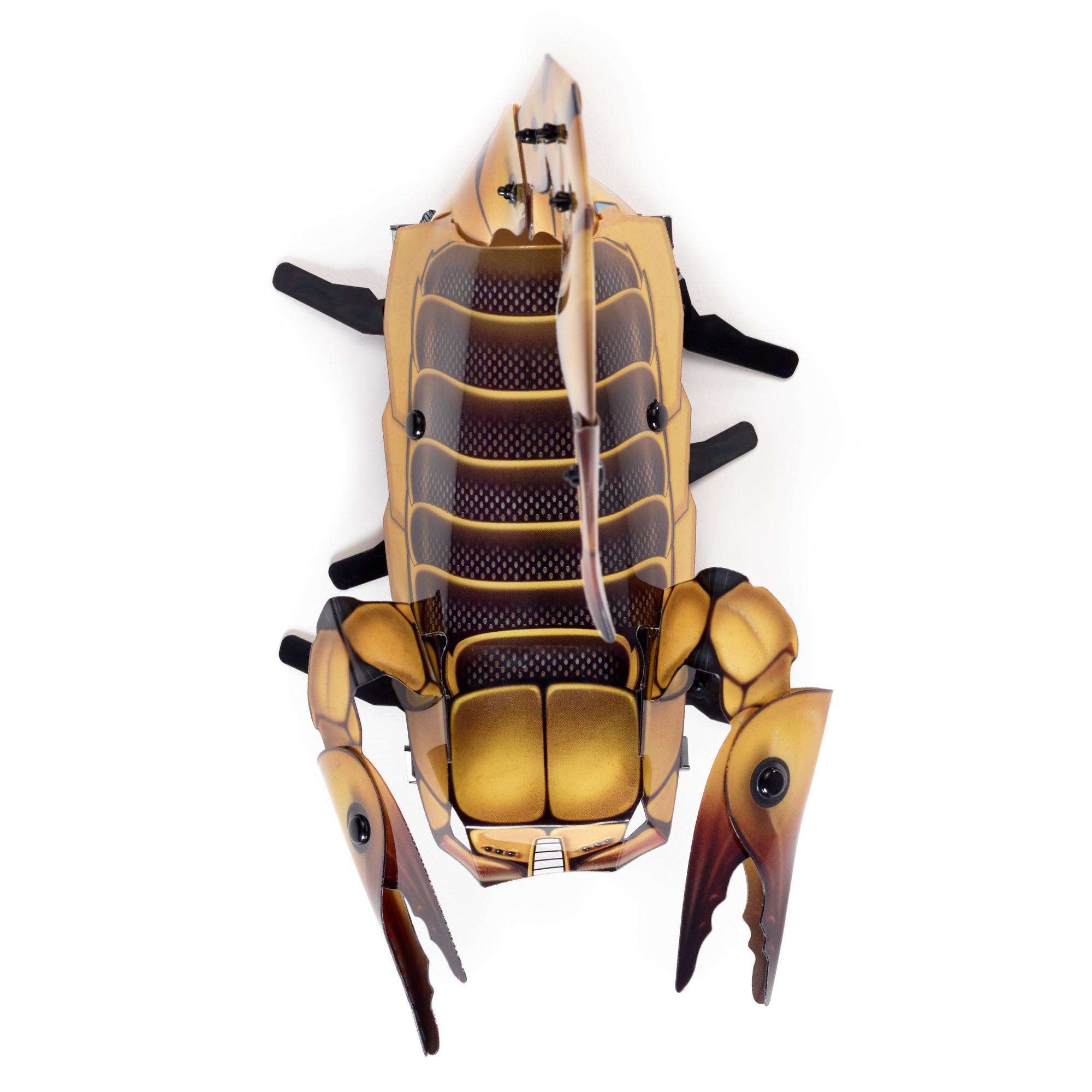 Kamigami Scarrax Battle Robot， Engineering Build Program Play