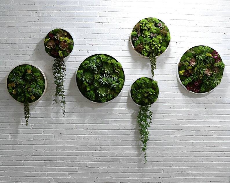 Artificial Plant Succulent Wall Art | Plant Wall | Wall Decoration | H