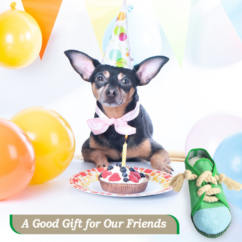 Blublu Park Dog Shoe Chew Toys， Creative Durable Puppy Interactive Squeaky Decoy Toy with Rope for Pet， Green