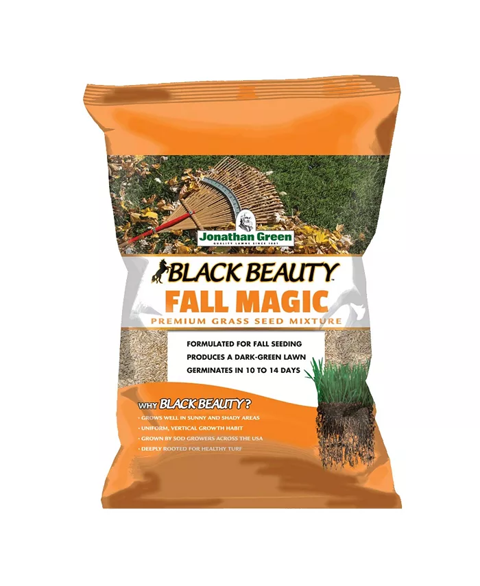 Jonathan Green (#10765) Black Beauty Fall Magic Grass Seed， 3lb bag