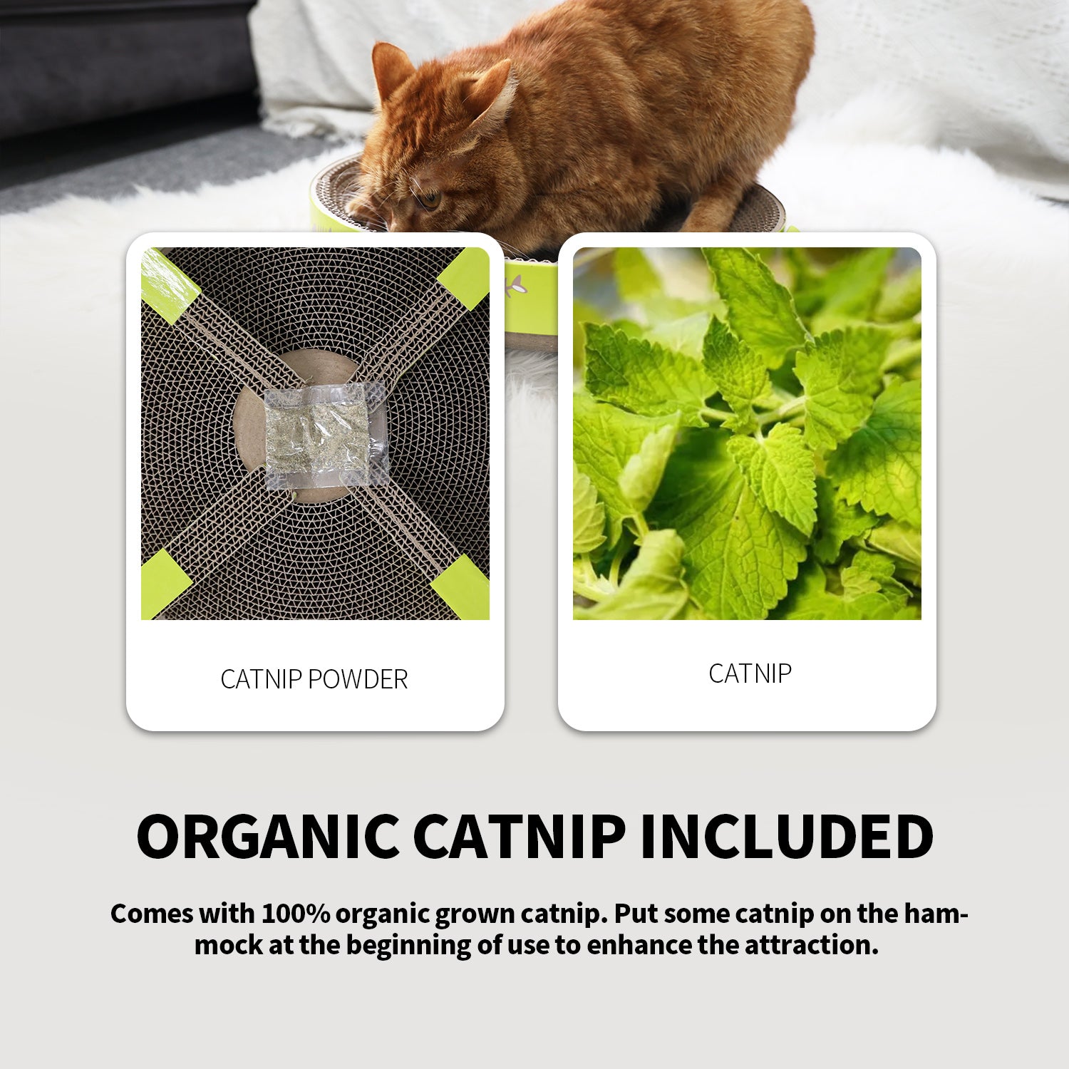 PAWISE Reversible Cat Scratcher Cardboard