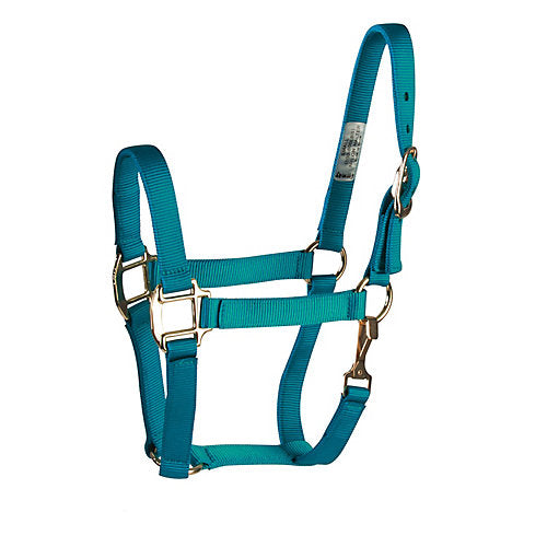 Deluxe 3-Ply Nylon Halter w/Snap Average Turquoise