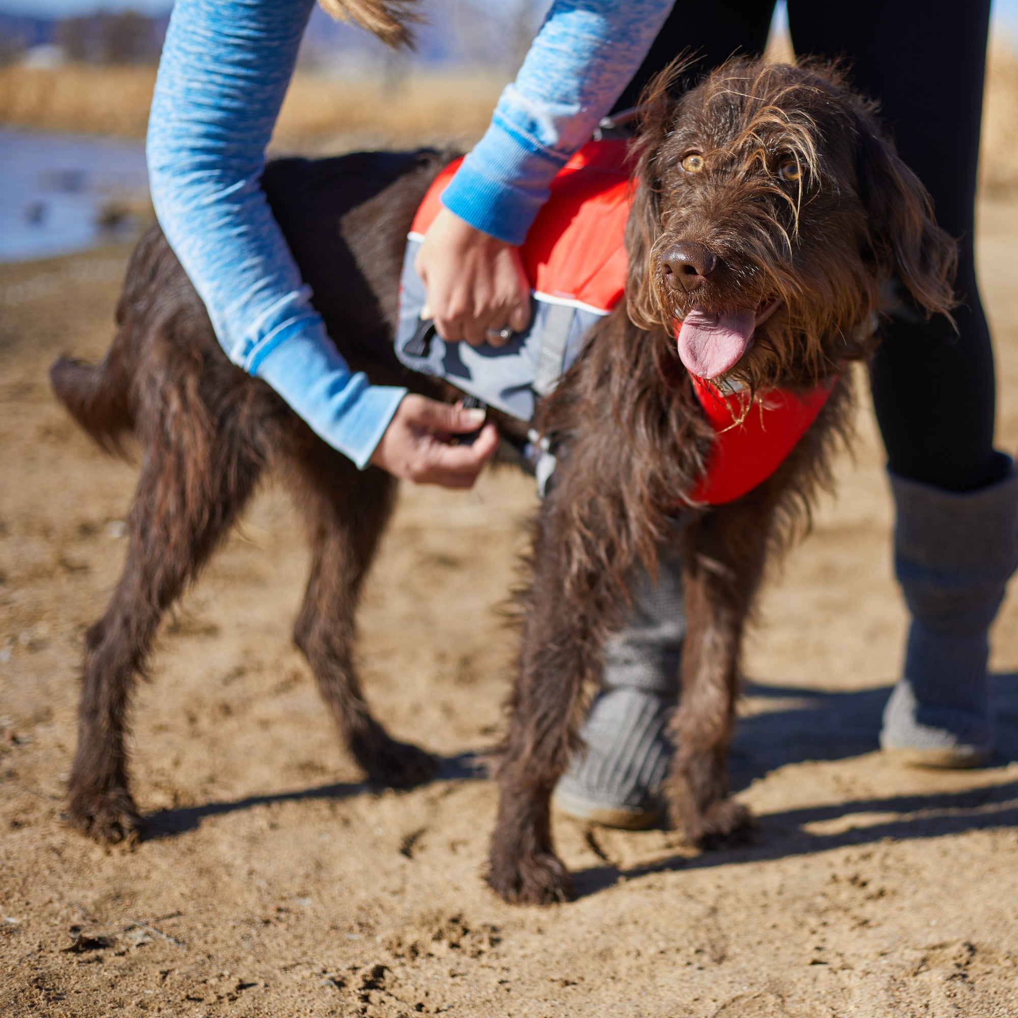 X2O CFD Red Dog Life Vest， Large (Pet Life Vest， Life Jacket， LG)