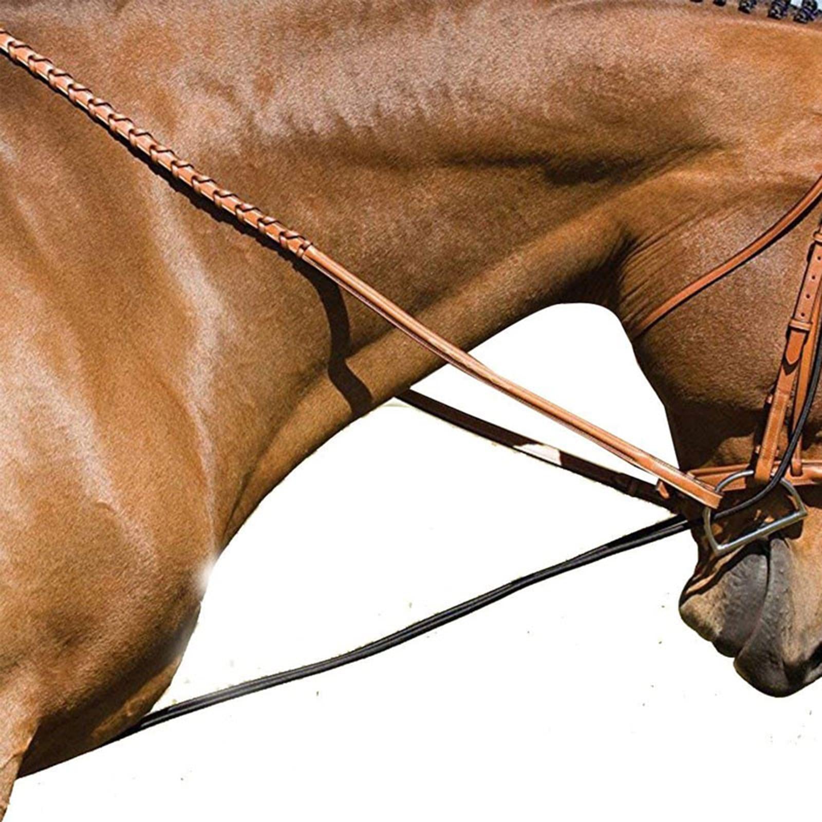 3M Horse Auxiliary Reins， Training Rope Flexible Leading Headcollar for Use Grooming Riding Outdoor Sports Equestrian Accessories