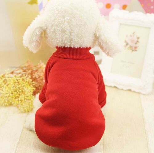 Plain Red Sweatshirt FOR SMALL DOGS Small Dog Sweater(Red， Extra-Small)