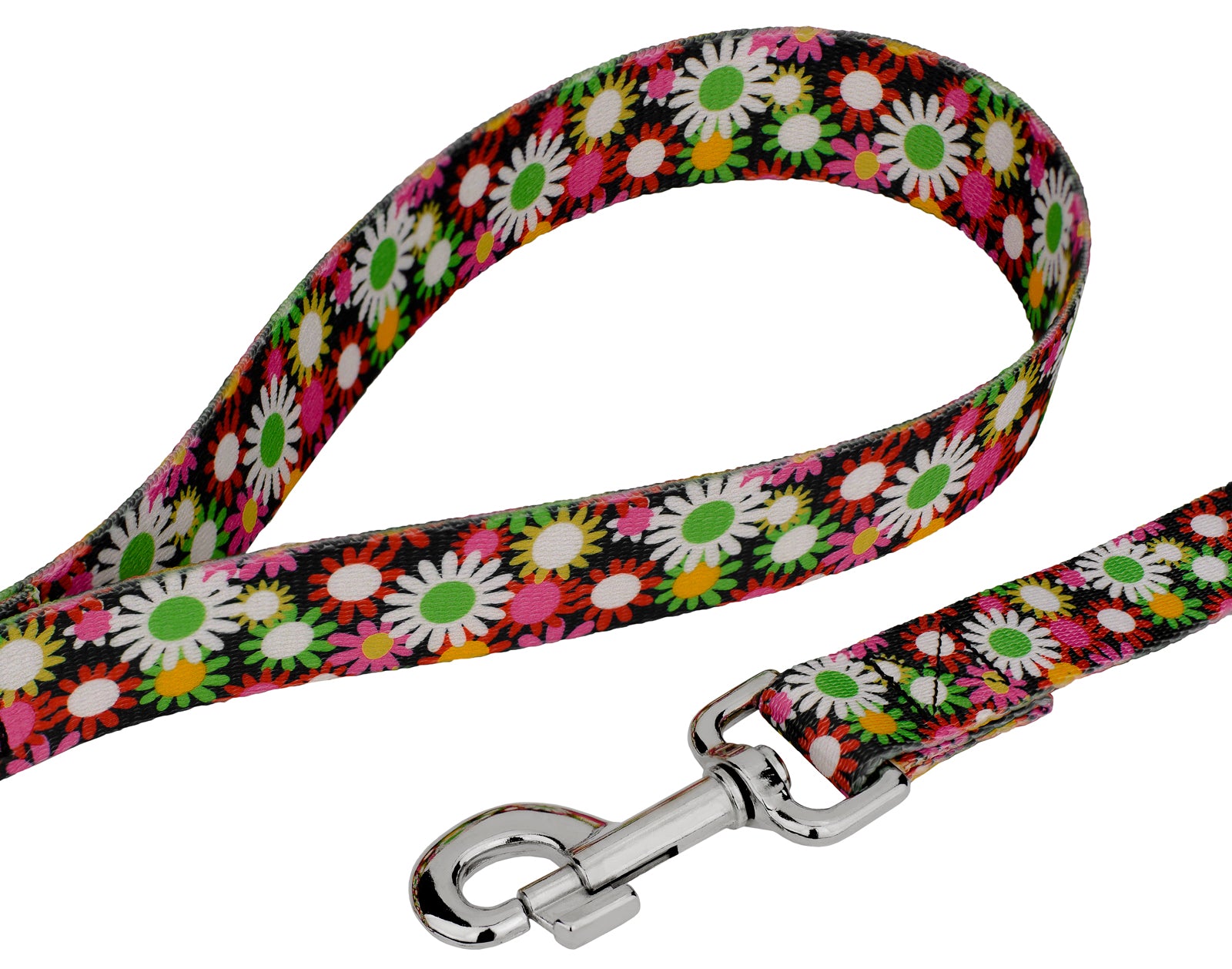 Country Brook Petz® Premium Daisy Fields Dog Collar and Leash， Medium
