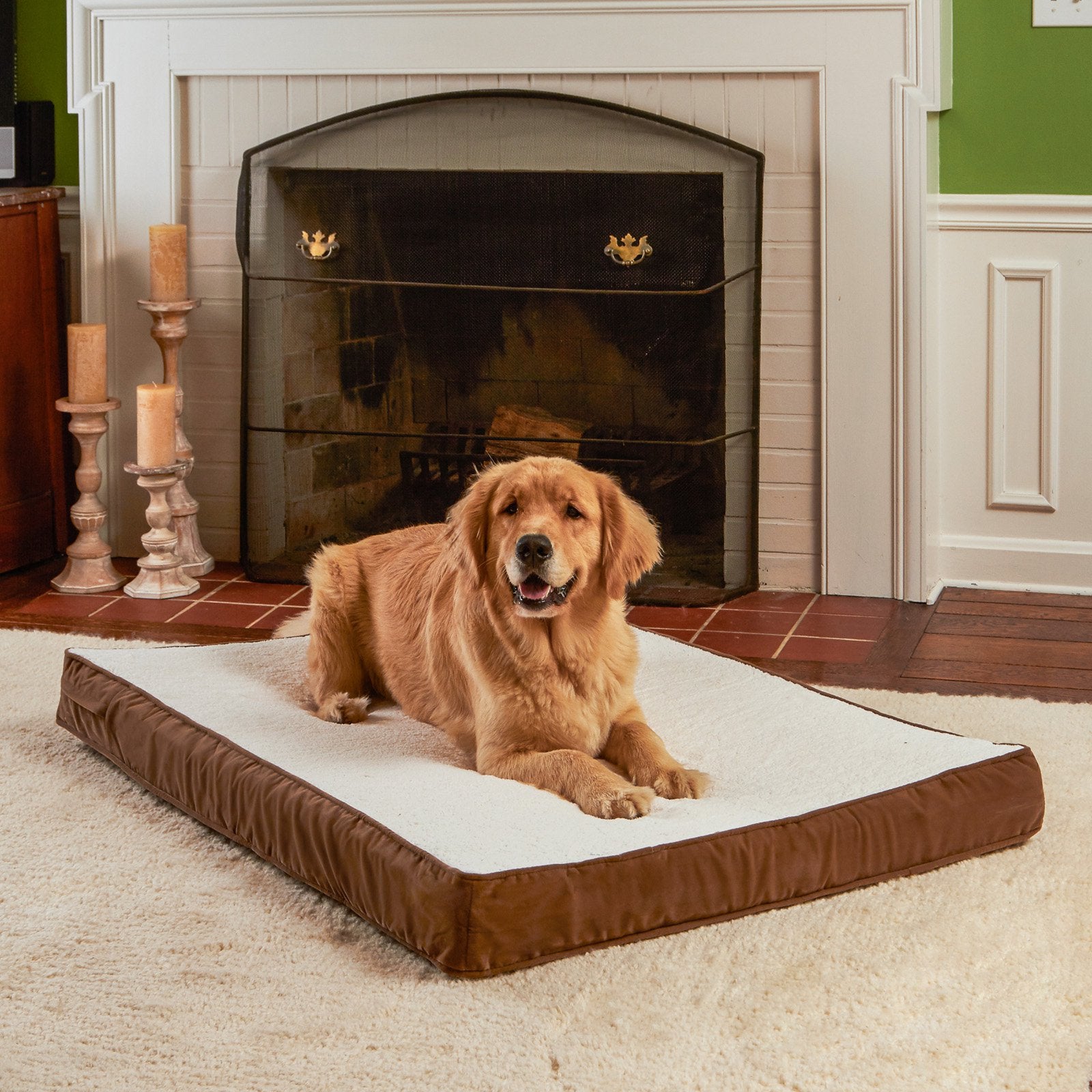 Happy Hounds Oscar Orthopedic Dog Bed， Small， Latte