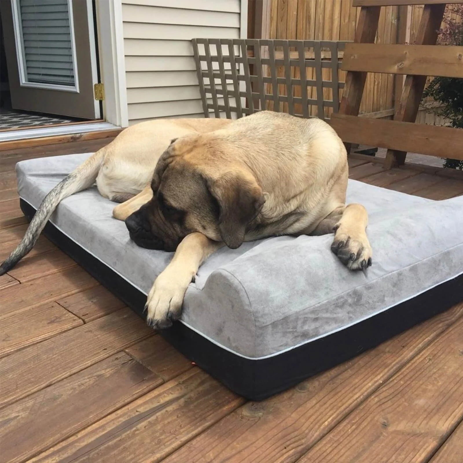 Laifug Orthopedic Memory Foam Extra Large Dog Bed with Double Pillows and Durable Waterproof Liner and Removable Washable Cover