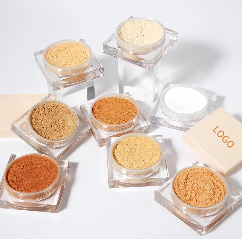 11 Shades Custom Label HD Transparent Loose Setting Powder