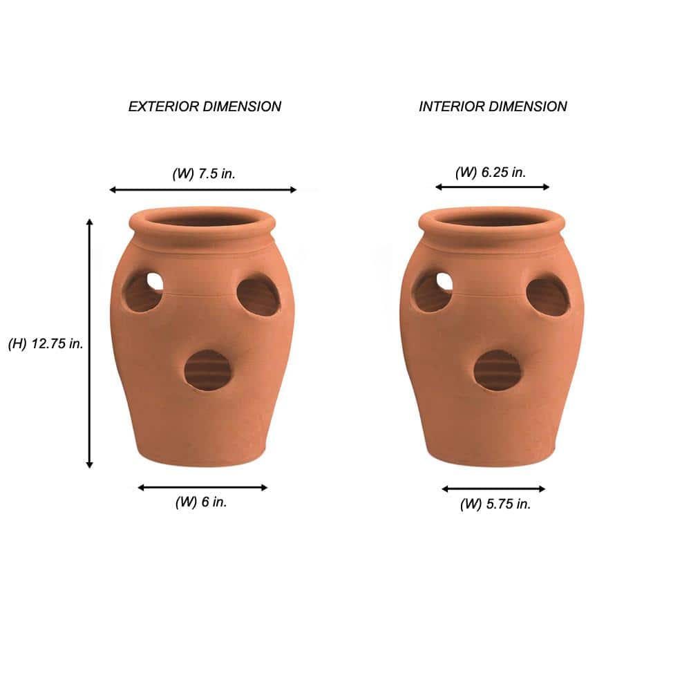 Pennington 2 Gal. 6 Pocket Terra Cotta Strawberry Pot 100043142