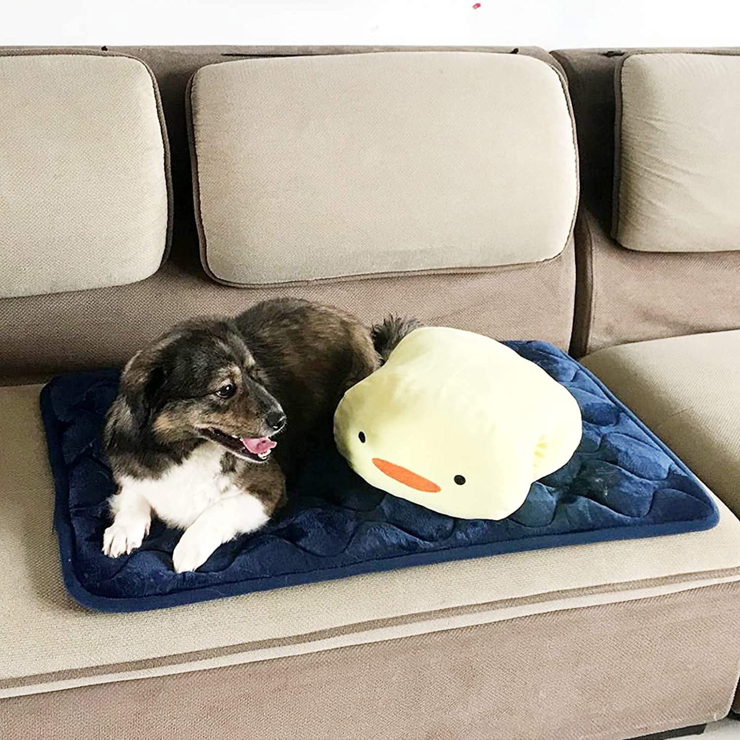 Dog Bed Mat Dog Crate Pad Washable Dog Mattress Pets Kennel Pad for Large Medium Small Dogs and Cats， 30