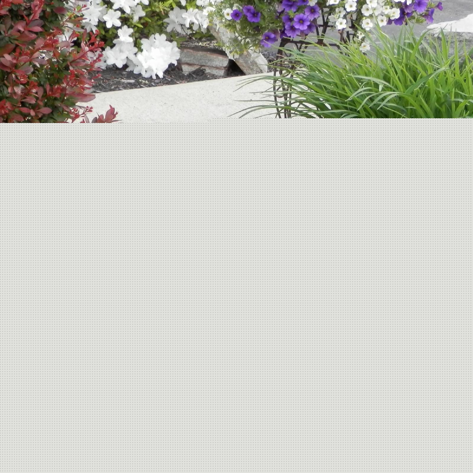 Athena Garden Cast Stone Small Octagon Bird Bath