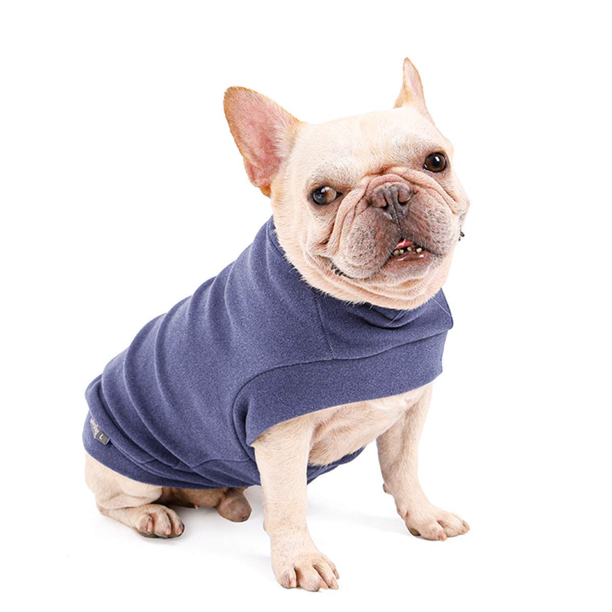 ROZKITCH Hairless Cat Sweatshirt Small Dog Hoodie Fleece Dog Sweatshirt Spring Soft Vest Thickening Warm Cat Sweater Puppy Clothes Sweater Pet Pajamas for Small Dog Cat Puppy Kitten