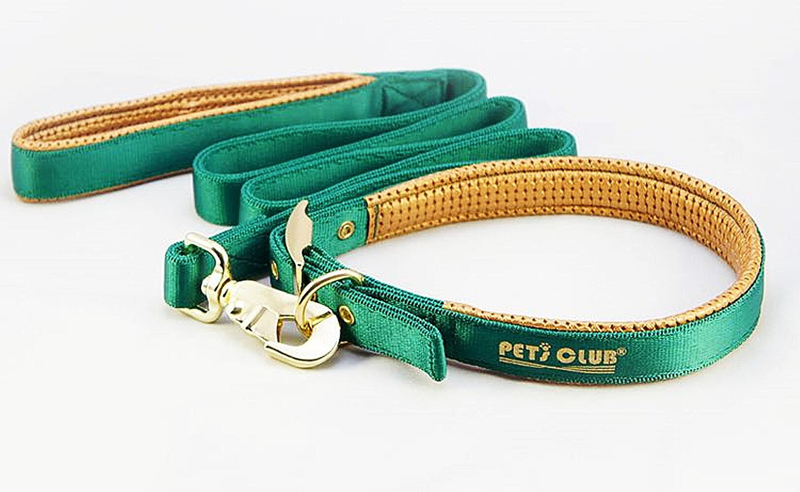 Heavy Duty Collar with Metal Buckle Zinc Alloy Fittings for Medium Large Dogs，Green Gold Wide Type