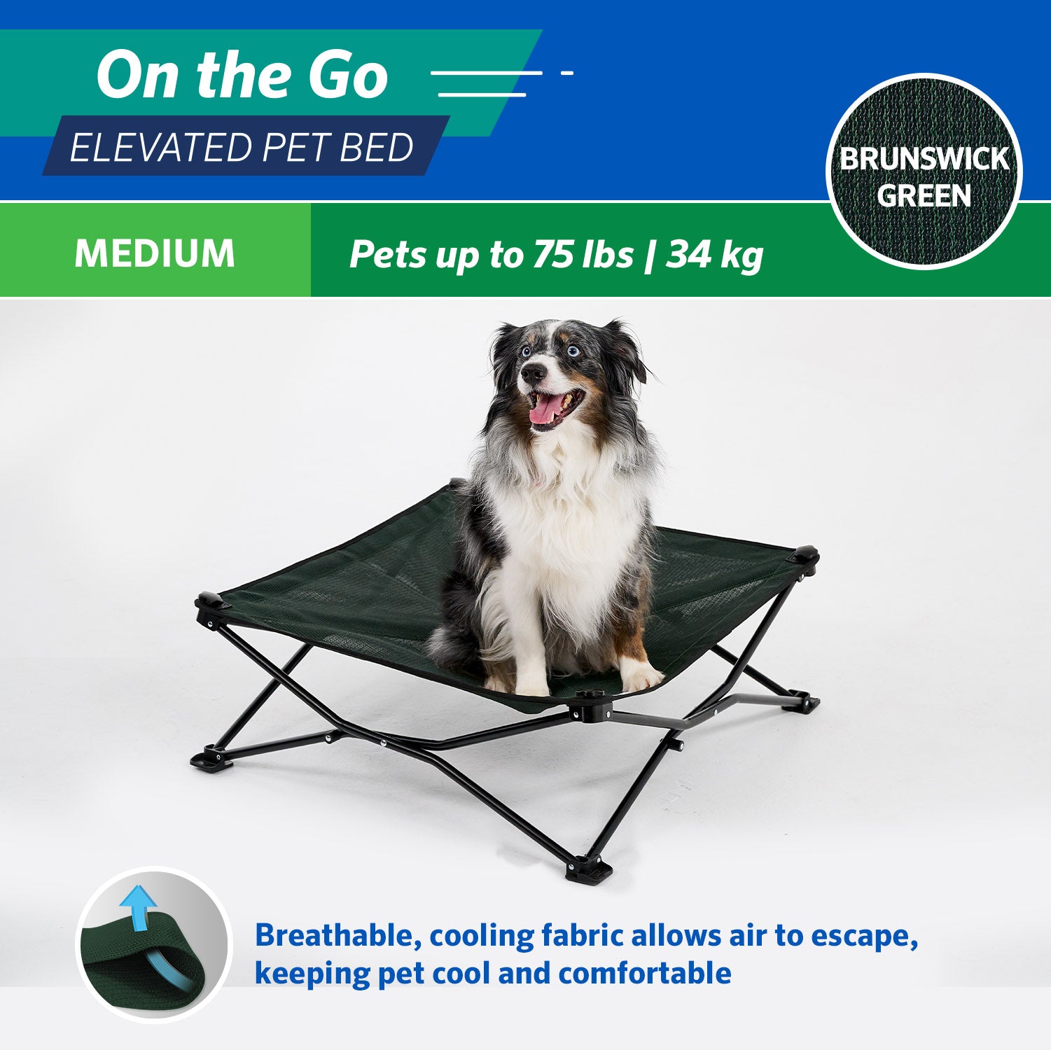 Coolaroo On the Go Elevated Travel Dog Bed， Medium， Brunswick Green