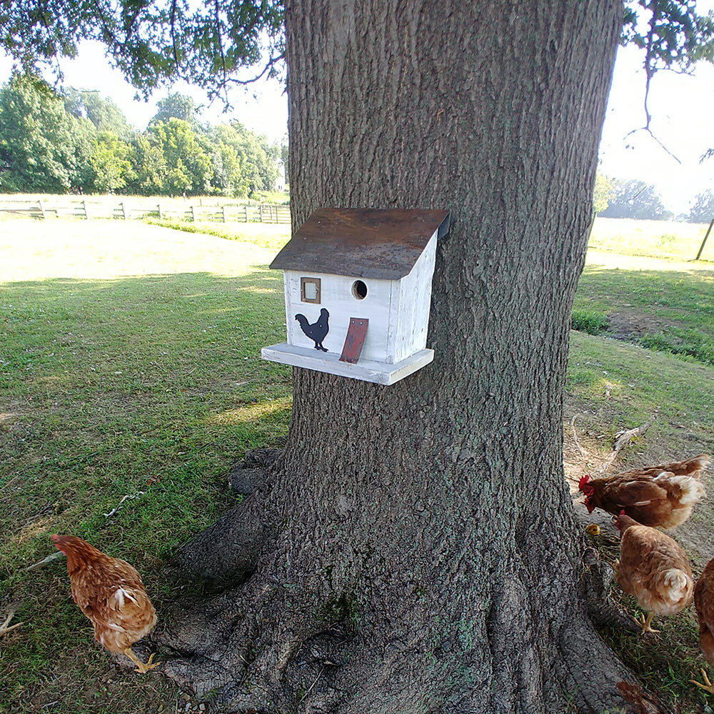 Cumberland Chicken Coop