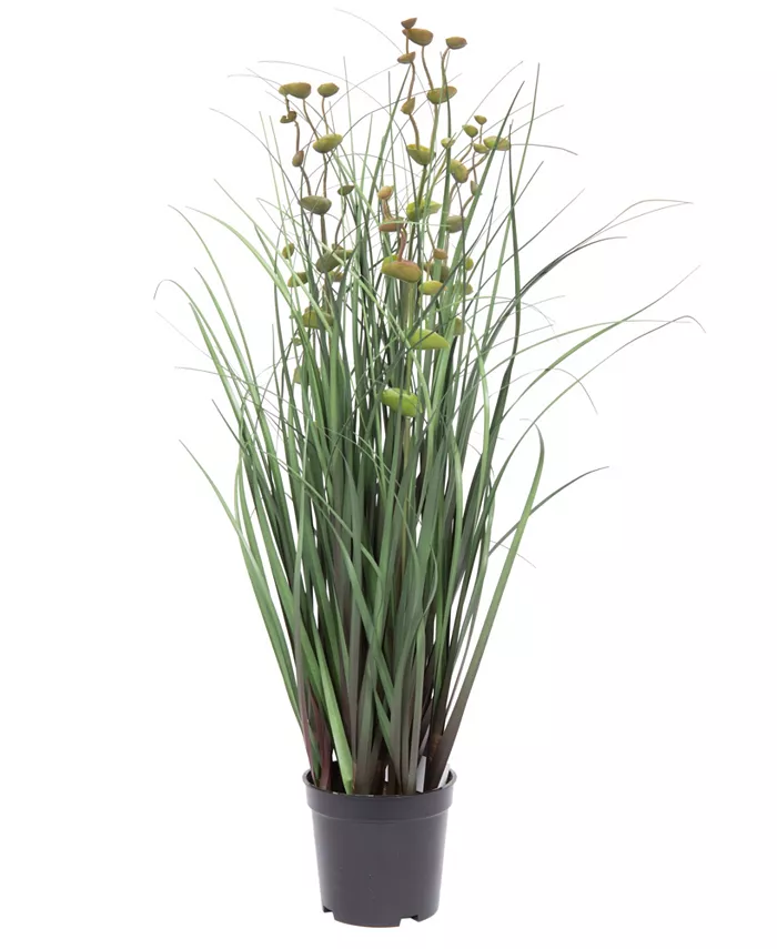 Vickerman 24