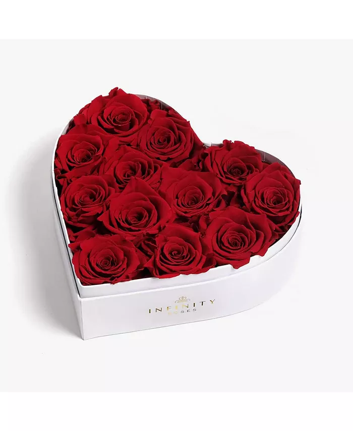 Infinity Roses Heart Box of 12 Red Real Roses Preserved to Last Over a Year