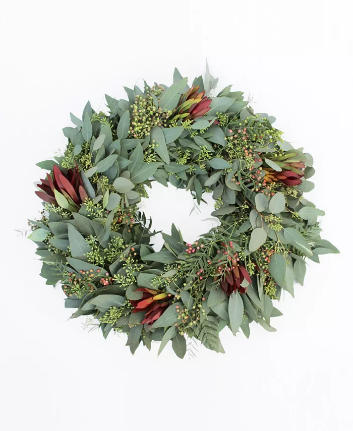 Magnolia Supply Co Fresh Seeded Eucalyptus， Red Berry and Safari Sunset Wreath， 20