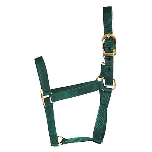 Basic 2-Ply Halter Small Green
