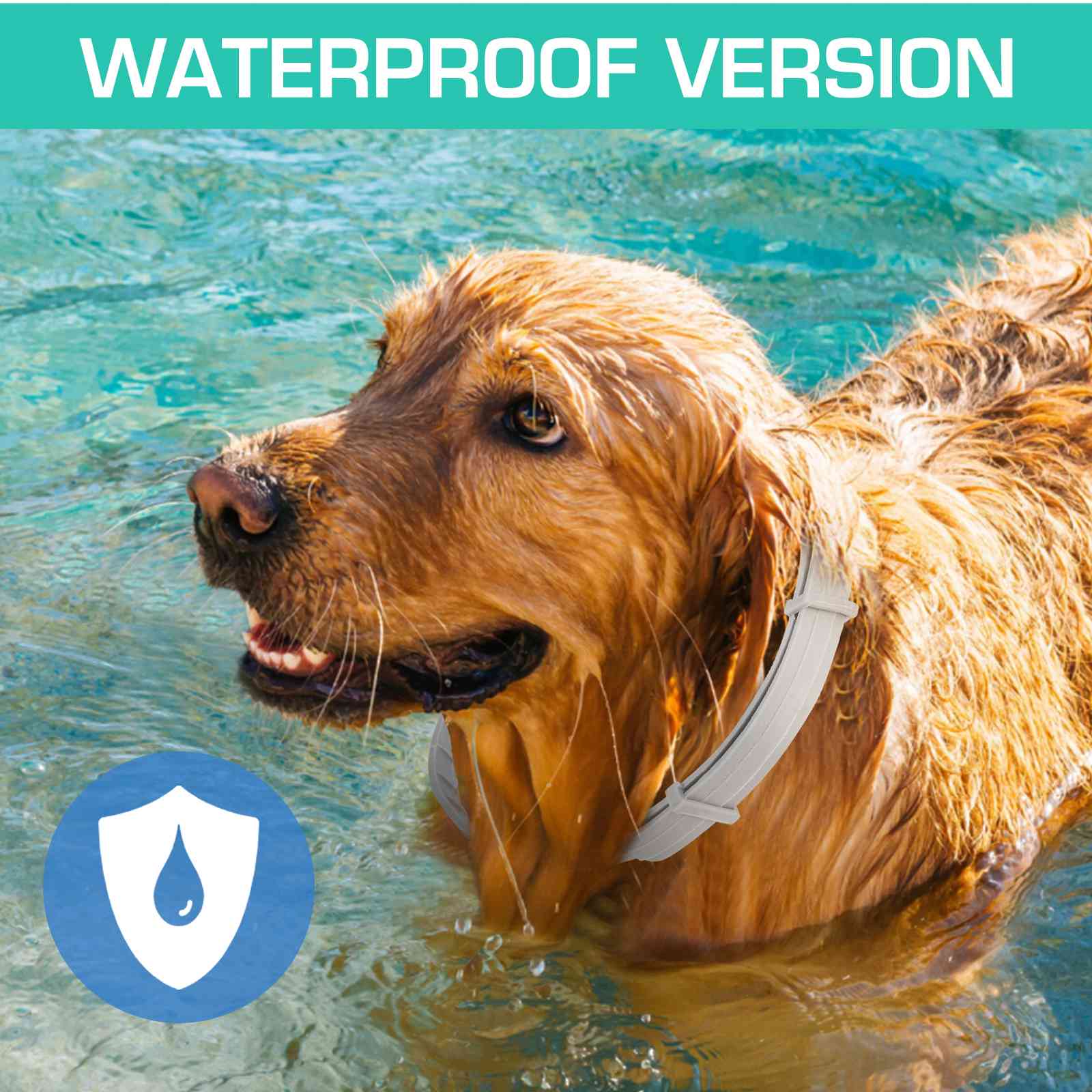 UrbanX Natural Ingredients， Flea and Tick Prevention and Treatment Collar for Collie and Other Large Size Herding Dogs Dogs. Waterproof and Adjustable.