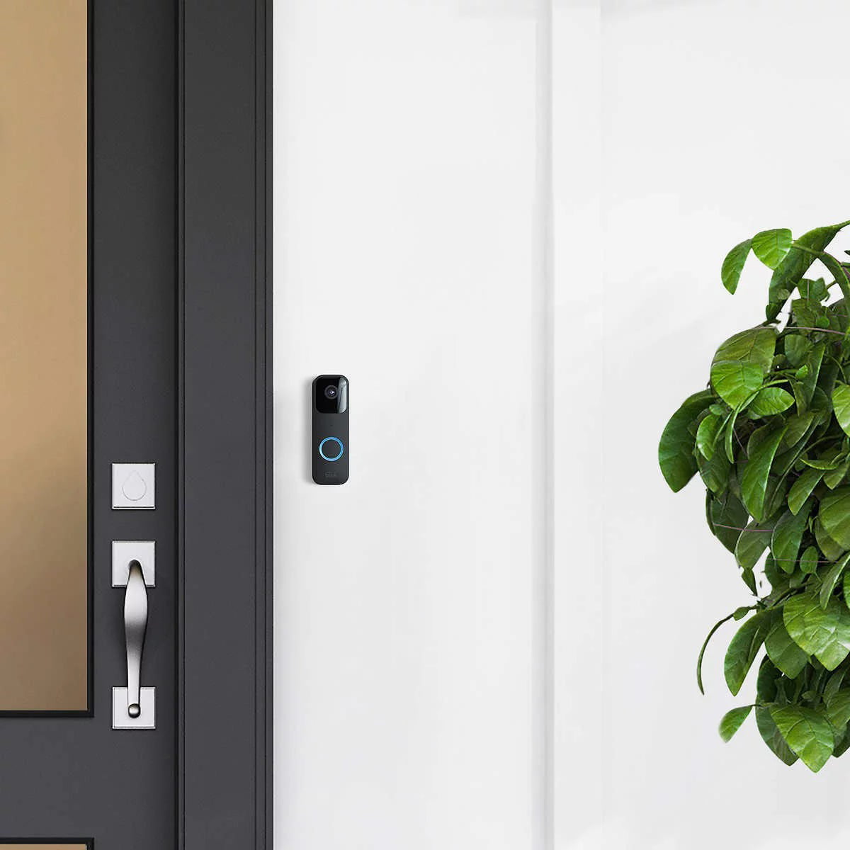 Blink Whole Home Security System Bundle 3 Outdoor Camera 1 Floodlight Mount 1 Indoor Add-on Camera 1 Video Doorbell