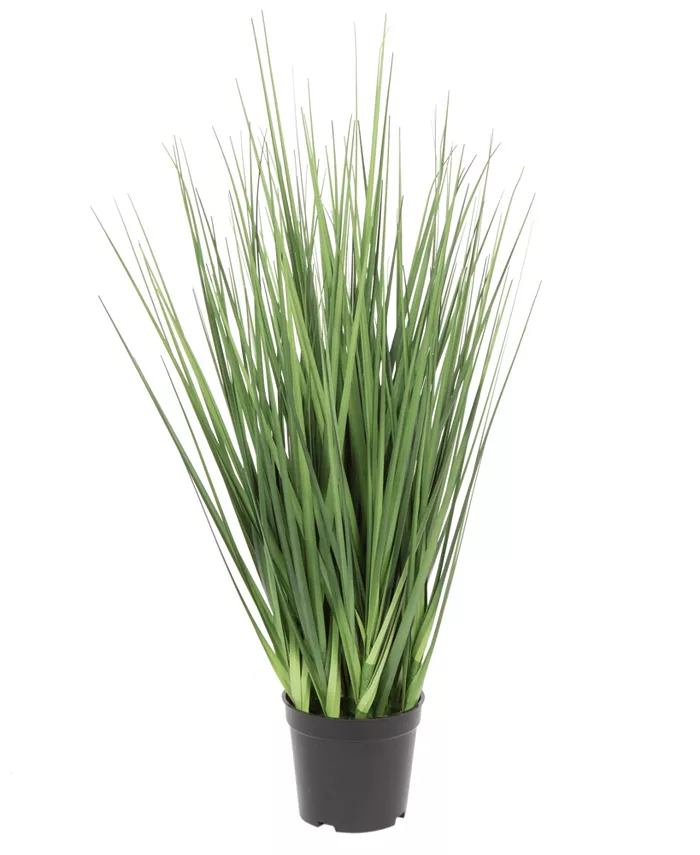 Vickerman 24