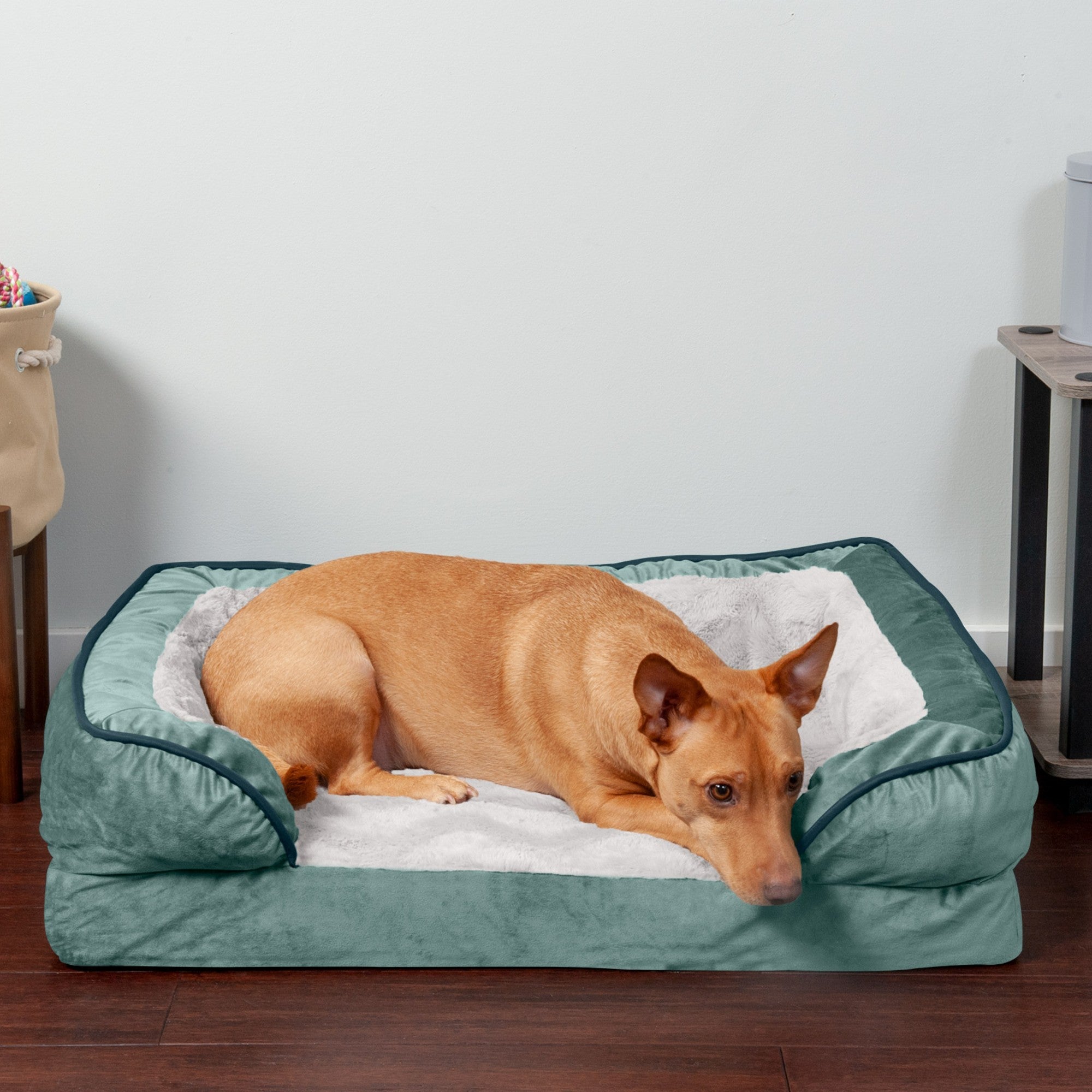 FurHaven Pet Products | Convolute Orthopedic Perfect Comfort Velvet Waves Sofa-Style Couch Pet Bed for Dogs and Cats， Celadon Green， Medium