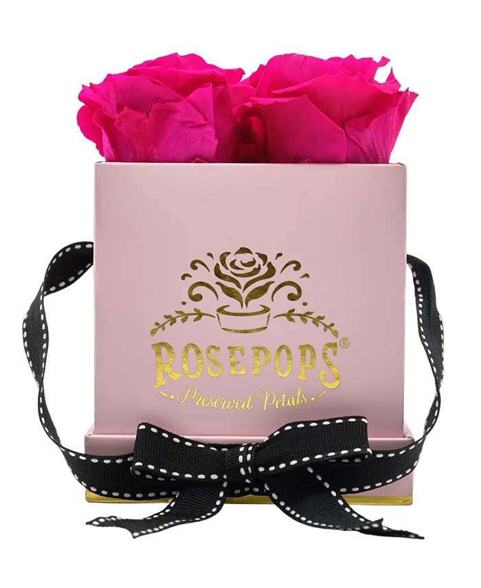Rosepops Pop-Up Fourget Me Not Raspberry Punch Real Roses， Box of 4