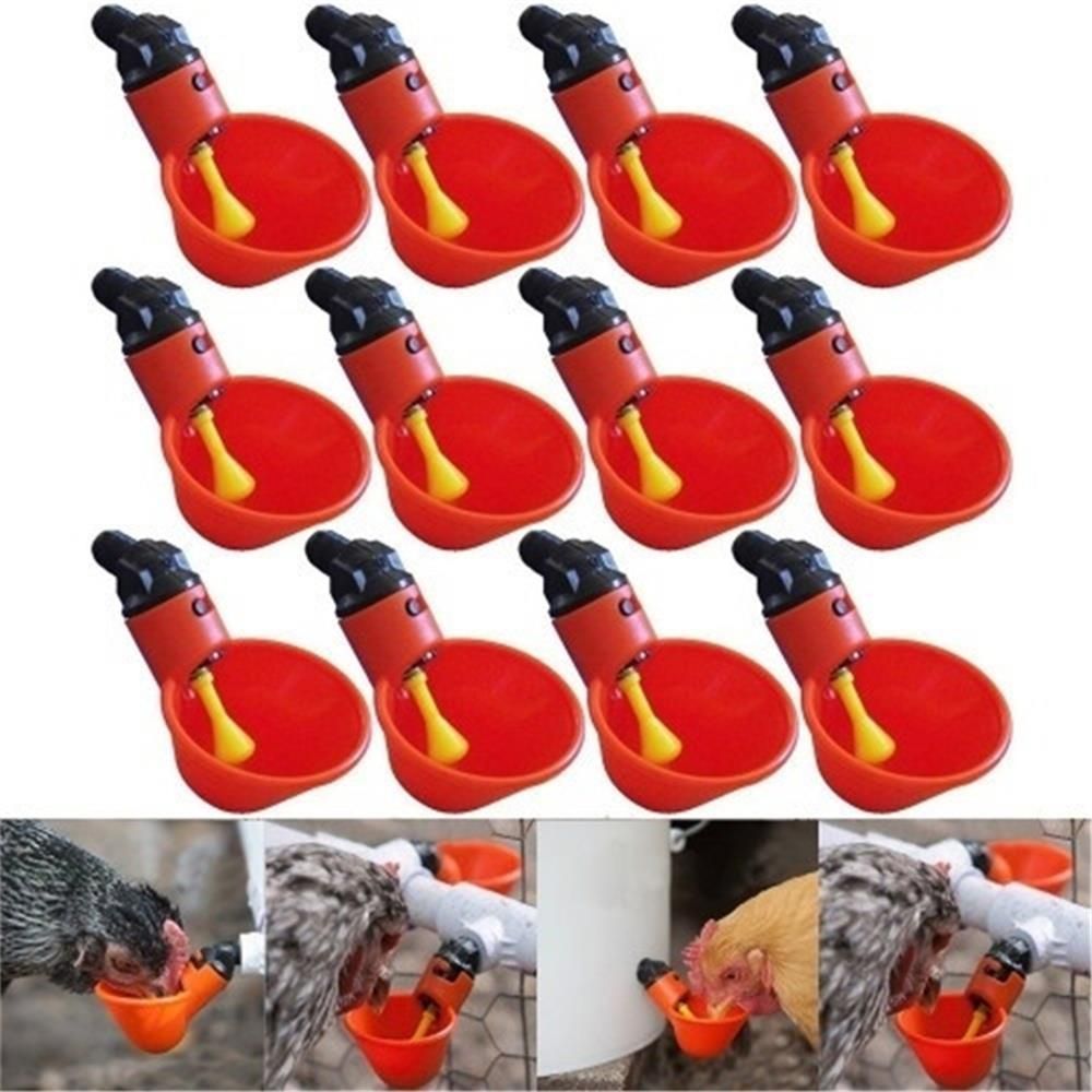 10/20 Pcs Hot new Quail Bird Chicken Coop Feed Fowl Bowl Poultry Water Drinking Cups Plastic Chicken Hen Plastic Automatic Drinker 10 PCS